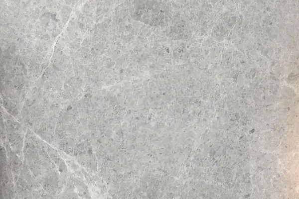 Arctic Gray