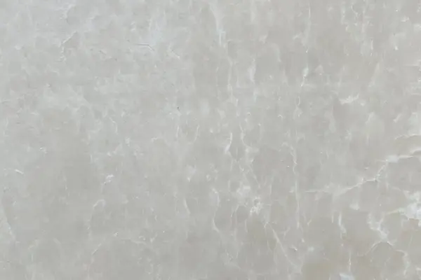 Crema Vega